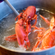 Image for article titled Maine Residents Placed Under Boil Lobster Advisory